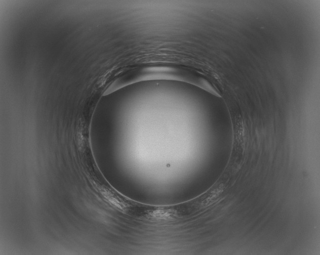 X0000054390566200507291147