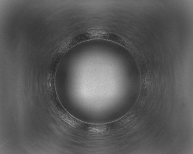 X0000054390567200507291147