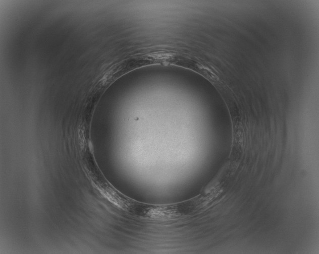 X0000054390568200507291147