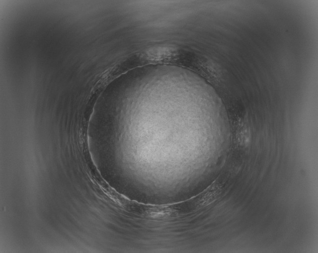X0000054390569200507291147