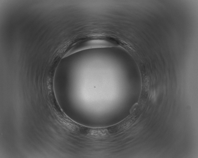 X0000054390571200507291147