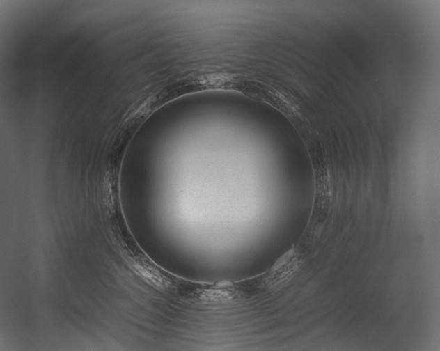 X0000054390572200507291147