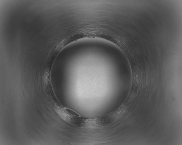 X0000054390574200507291147