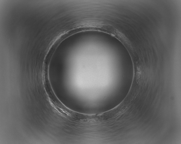 X0000054390580200507291146