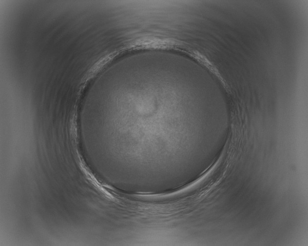 X0000054390581200507291146