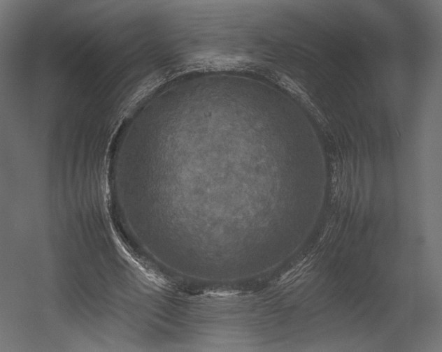 X0000054390582200507291146