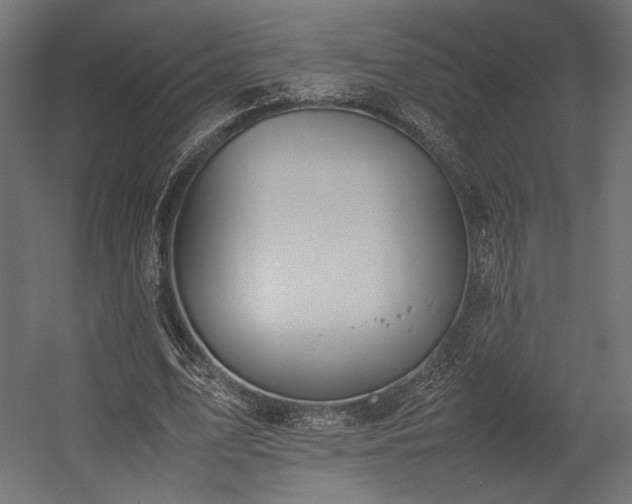 X0000054390583200507291146