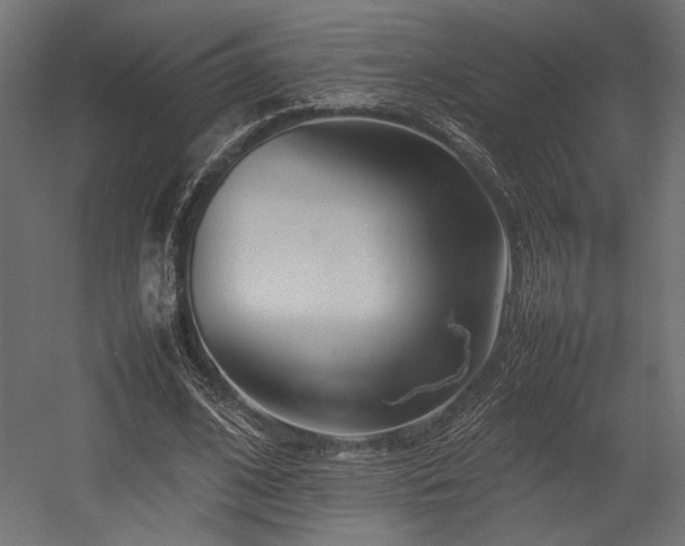 X0000054390584200507291146