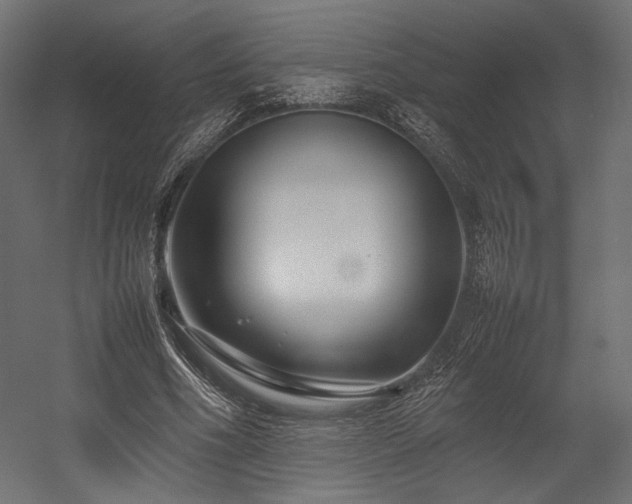X0000054390586200507291146