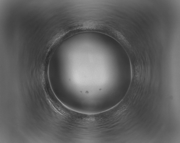 X0000054390588200507291146
