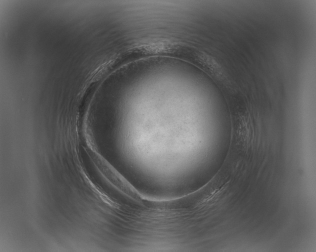 X0000054390590200507291146