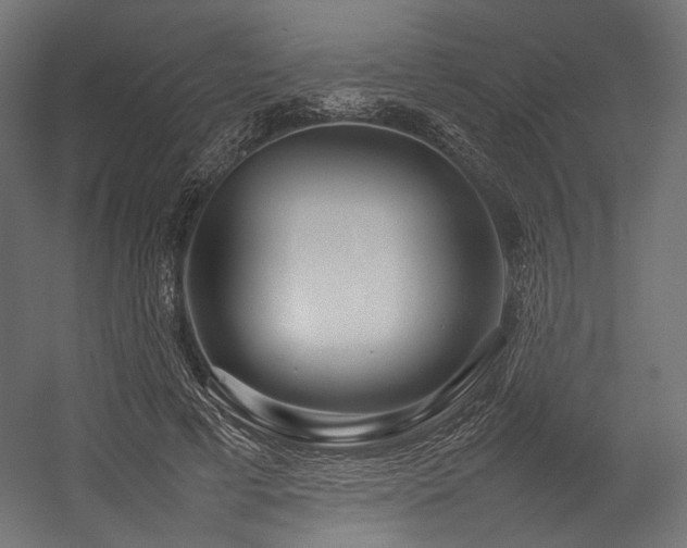 X0000054390593200507291146