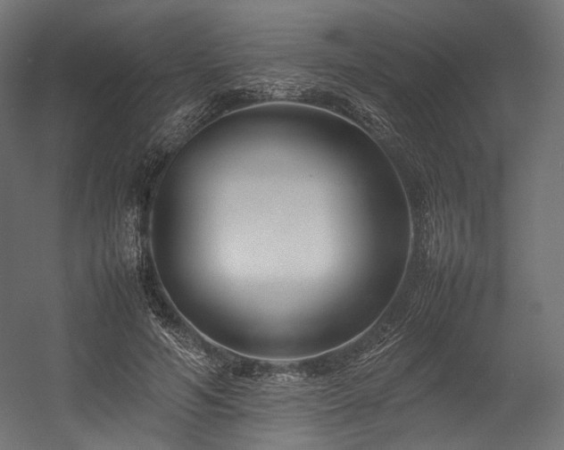 X0000054390594200507291146