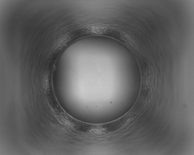 X0000054390595200507291146