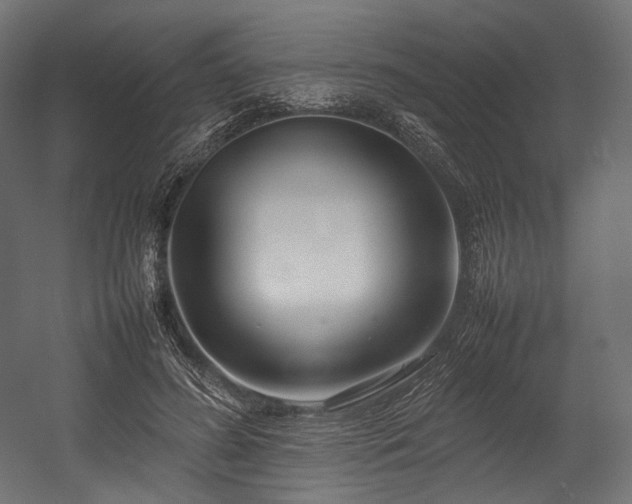 X0000054390596200507291146