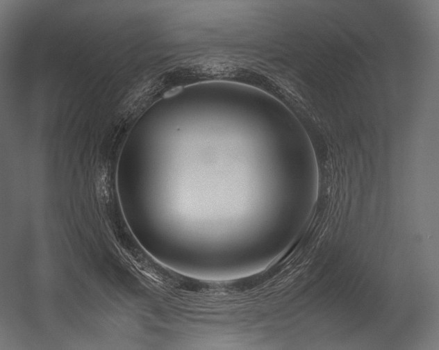 X0000054390597200507291146
