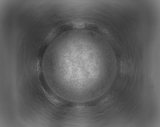 X0000054390598200507291146