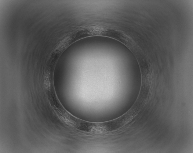 X0000054390599200507291146
