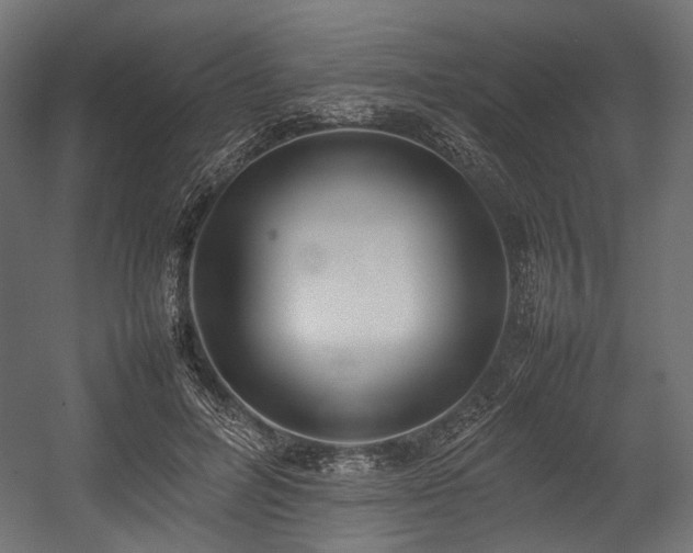 X0000054390600200507291146