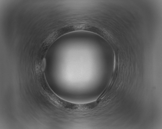X0000054390601200507291145