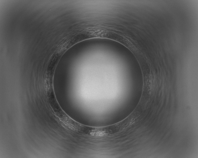 X0000054390602200507291145
