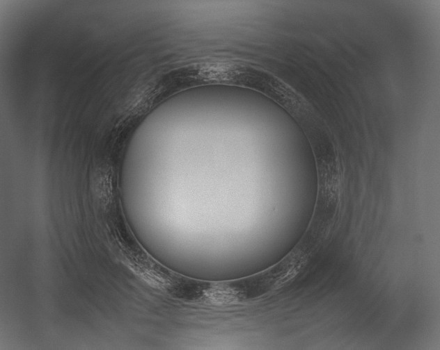 X0000054390603200507291145