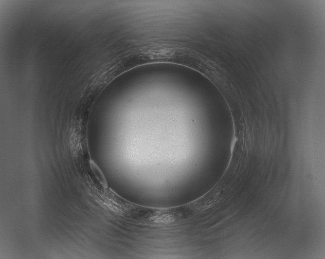X0000054390604200507291145