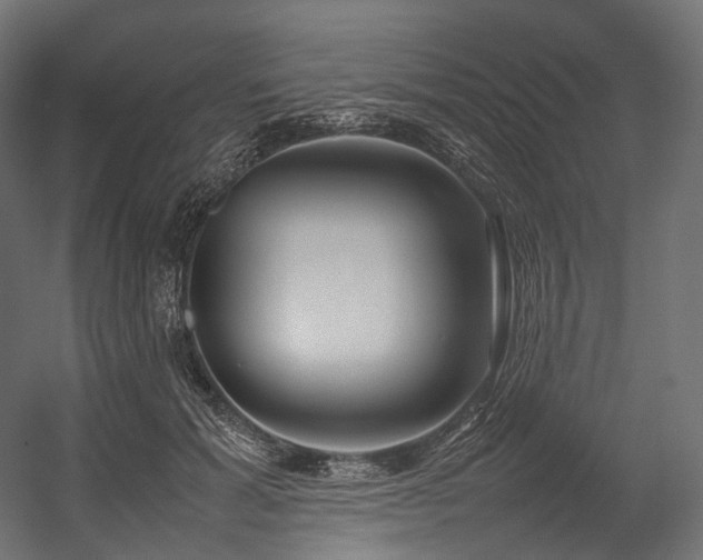 X0000054390605200507291145
