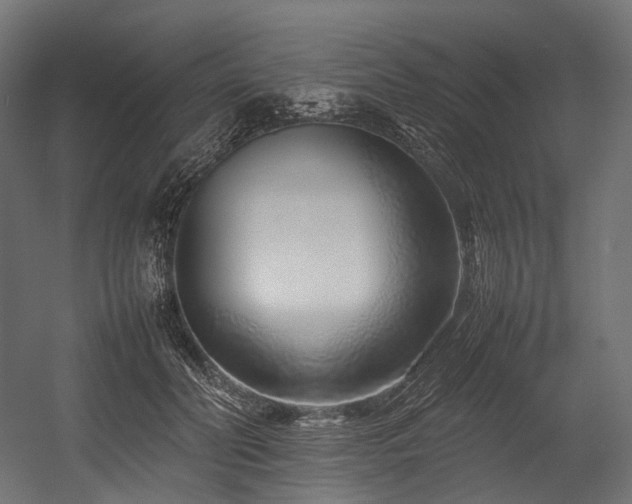 X0000054390606200507291145