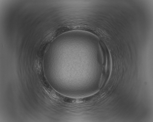 X0000054390607200507291145