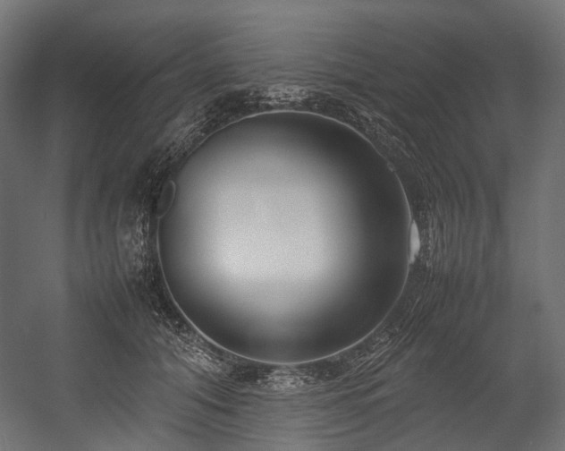 X0000054390608200507291145