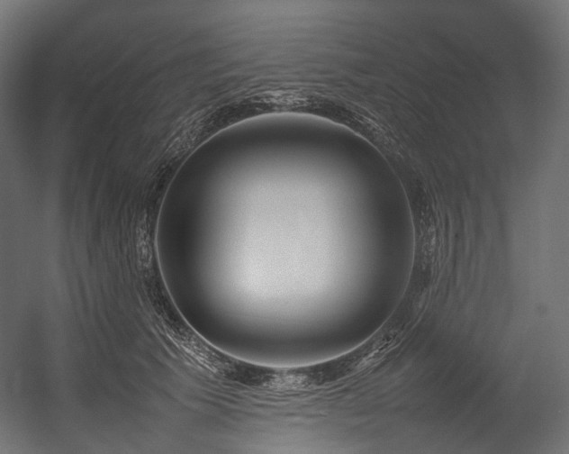 X0000054390609200507291145