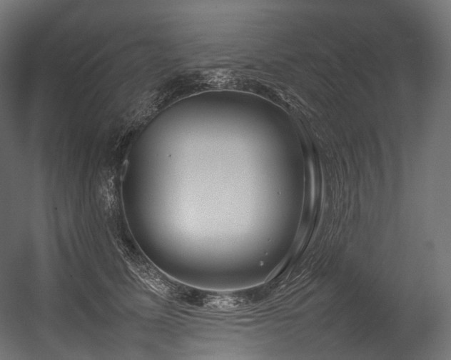 X0000054390611200507291145