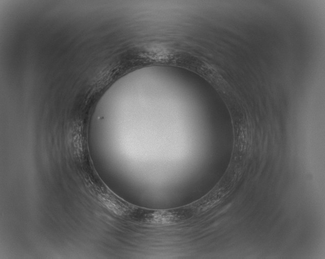 X0000054390612200507291145