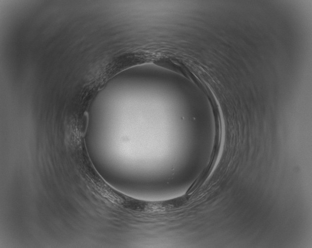 X0000054390613200507291145