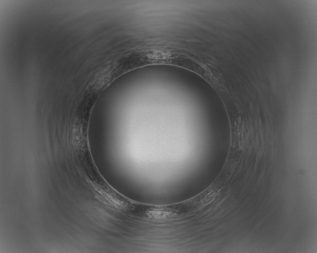 X0000054390614200507291145