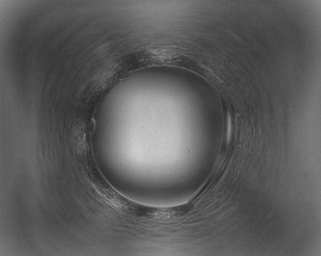 X0000054390615200507291145
