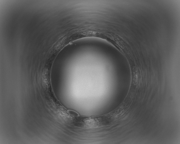 X0000054390616200507291145