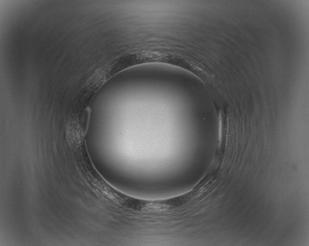 X0000054390617200507291145