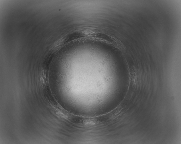 X0000054390618200507291145