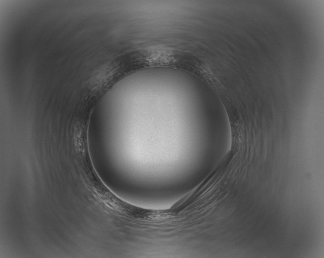 X0000054390619200507291145