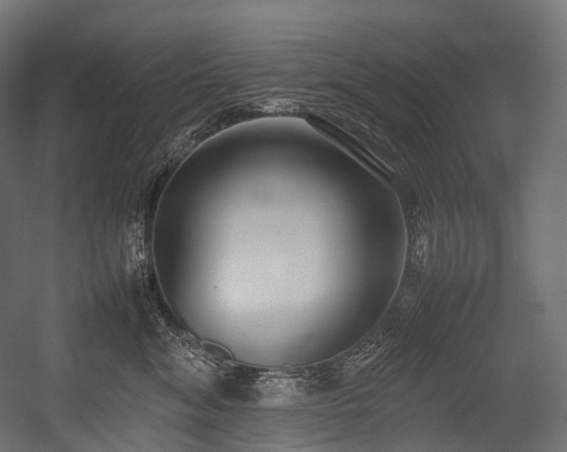 X0000054390620200507291145
