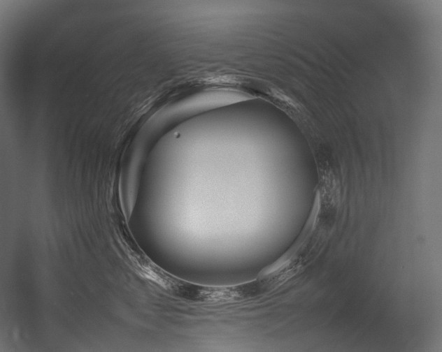 X0000054390621200507291145