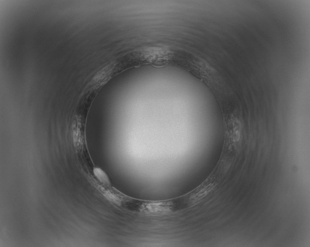X0000054390622200507291145