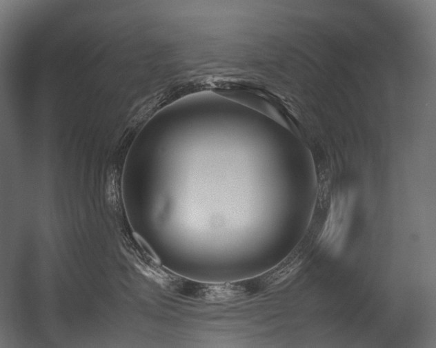 X0000054390623200507291145