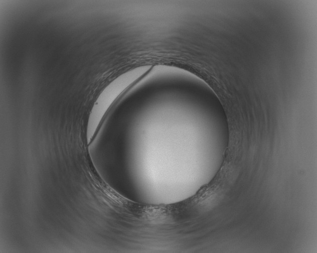 X0000054390624200507291145