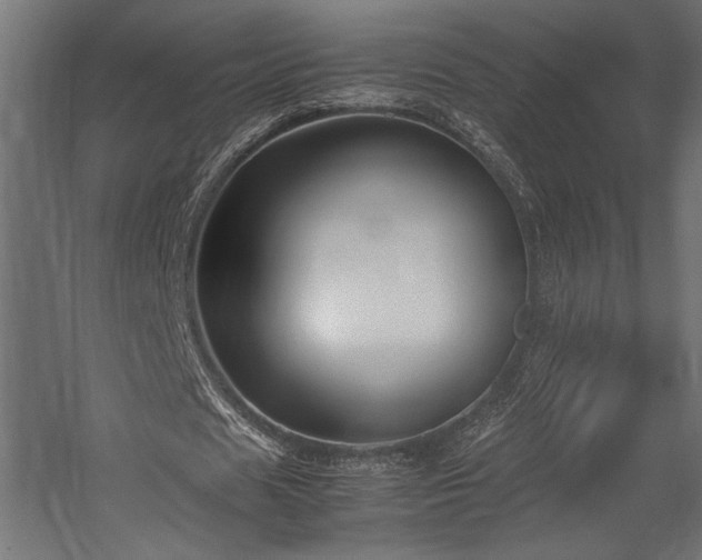 X0000054390625200507291144