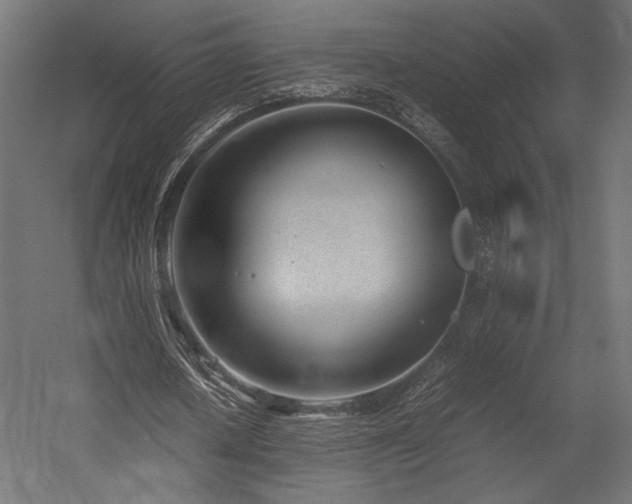 X0000054390626200507291144