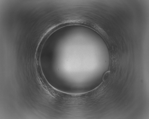 X0000054390628200507291144
