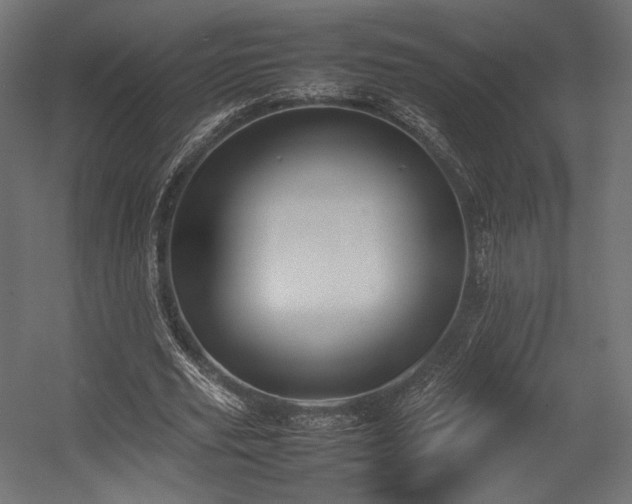 X0000054390629200507291144